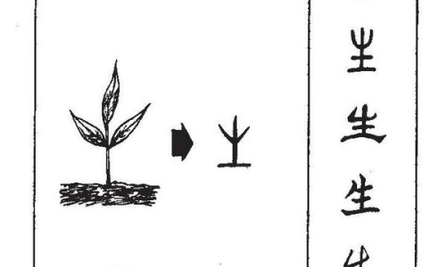 鬼头炎图片大全图解-鬼头炎的症状与图片网 - 为你提供鬼头炎图片大全图解、鬼头炎图片大全图解