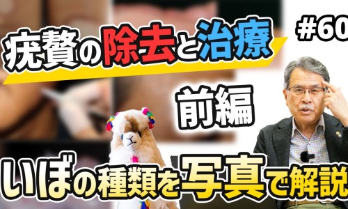 鬼头炎的症状与图片女性-鬼头炎的症状与图片网 - 为你提供鬼头炎图片大全图解、鬼头炎图片大全图解